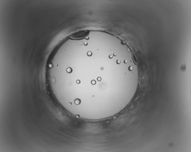 X0000116820296201001081422