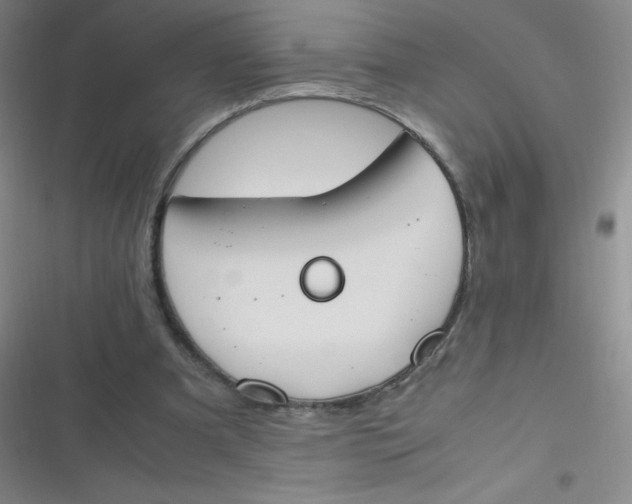 X0000116820297201001081422