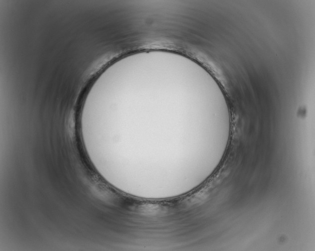 X0000116820298201001081422