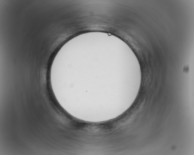 X0000116820299201001081422