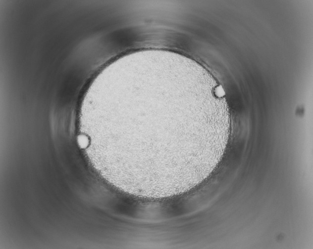 X0000116820301201001081422