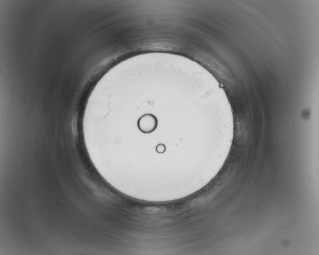 X0000116820302201001081422