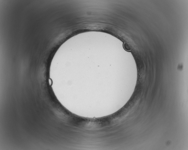 X0000116820303201001081422