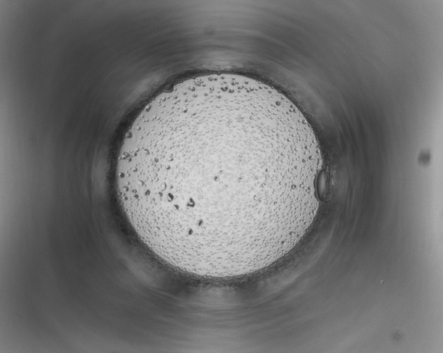 X0000116820304201001081422