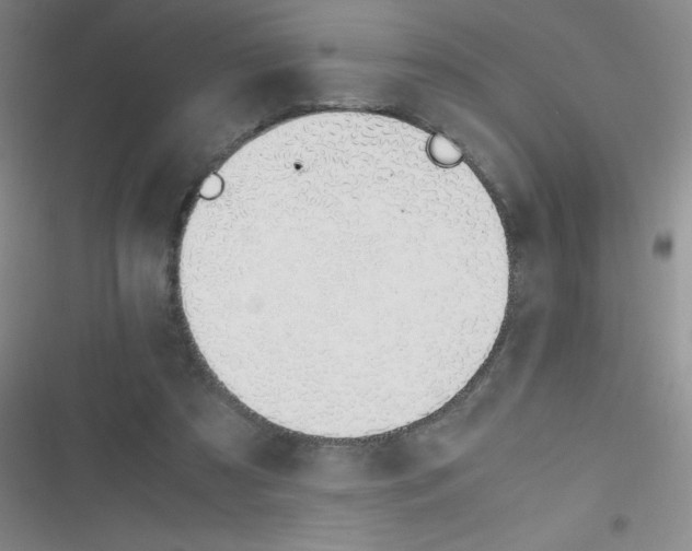 X0000116820305201001081422