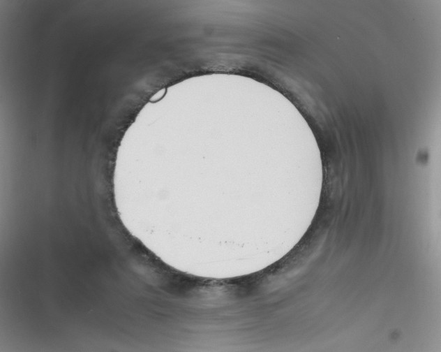 X0000116820307201001081422