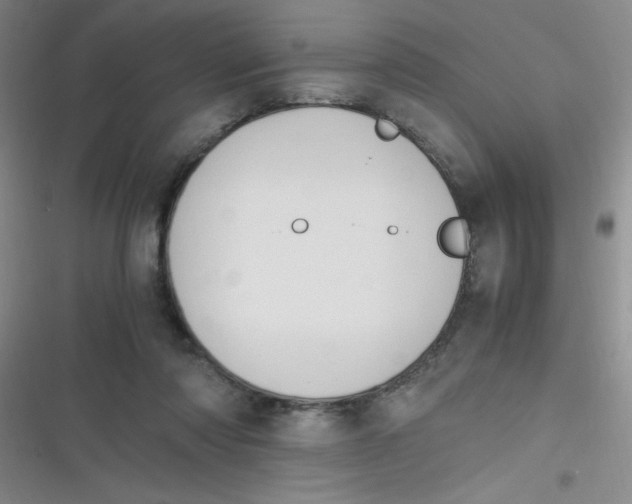 X0000116820310201001081422