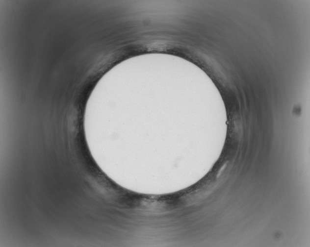 X0000116820311201001081422