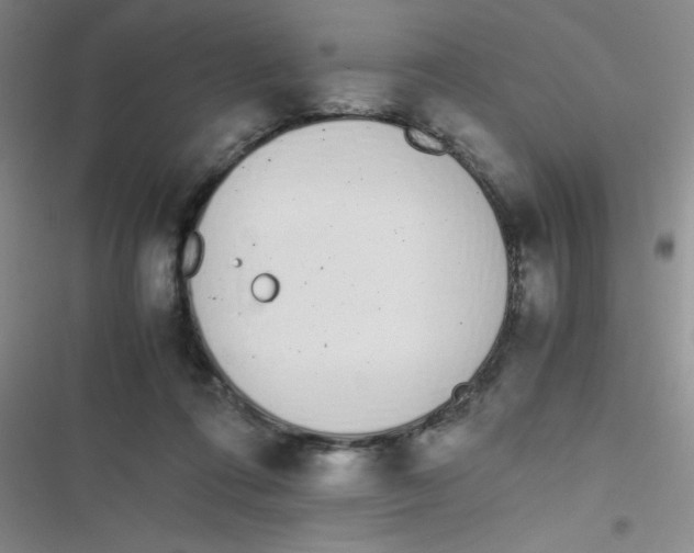 X0000116820312201001081422