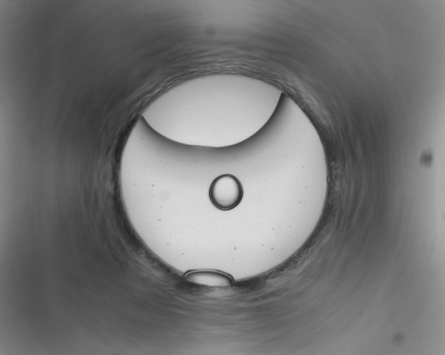 X0000116820313201001081422