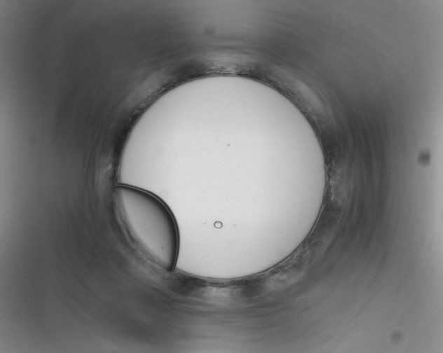 X0000116820314201001081422