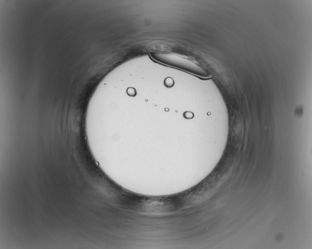 X0000116820315201001081422