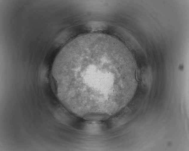 X0000116820316201001081422