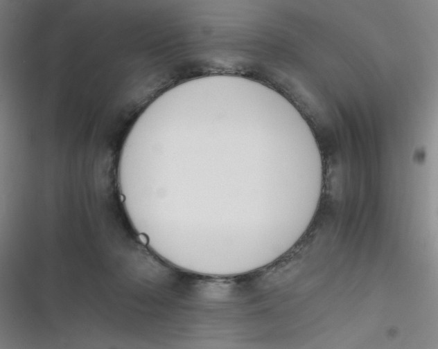 X0000116820318201001081422