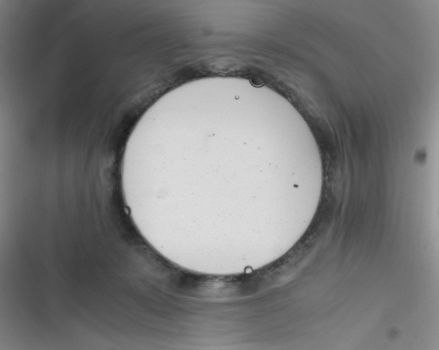 X0000116820319201001081422