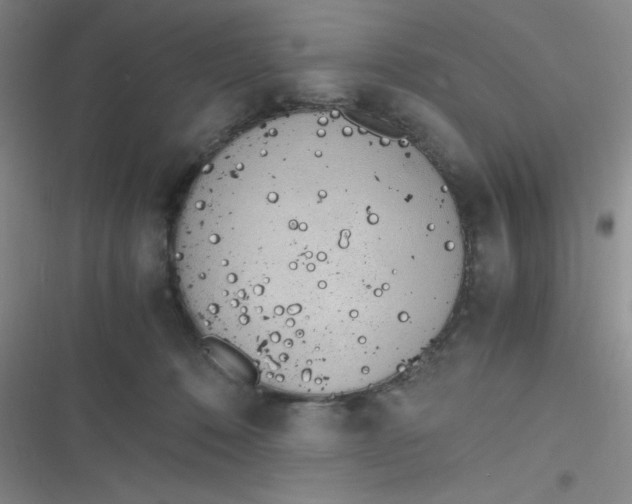 X0000116820320201001081422