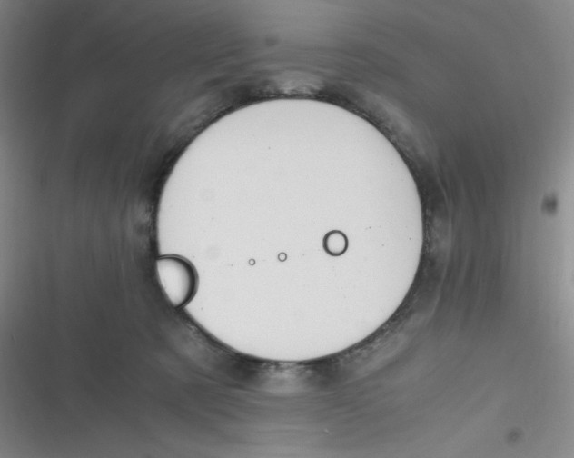 X0000116820321201001081422