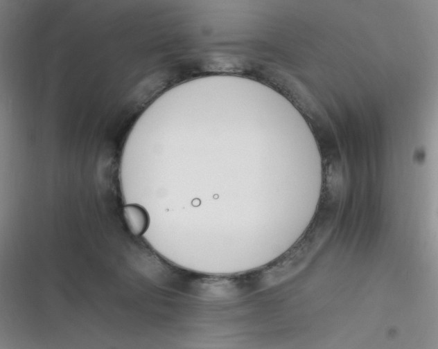 X0000116820322201001081422