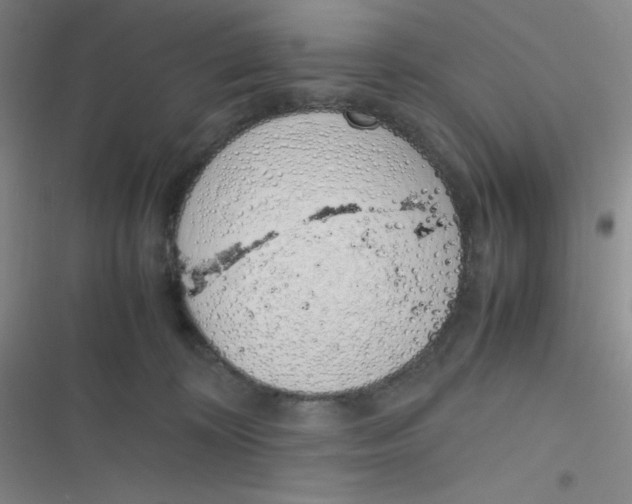 X0000116820324201001081422