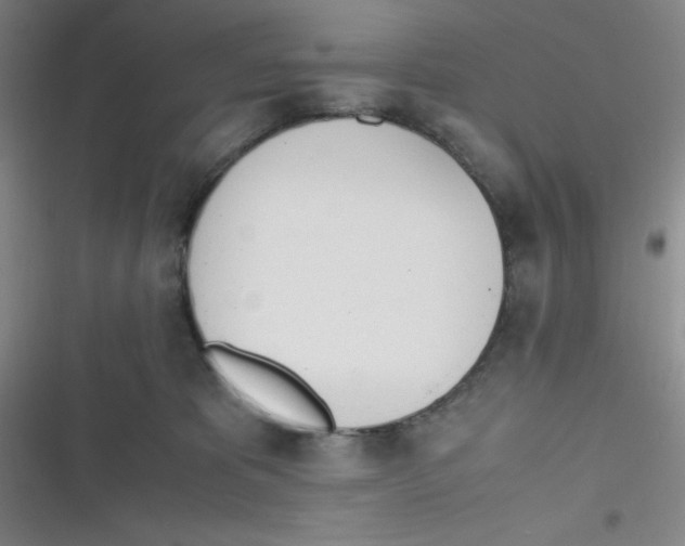 X0000116820325201001081422