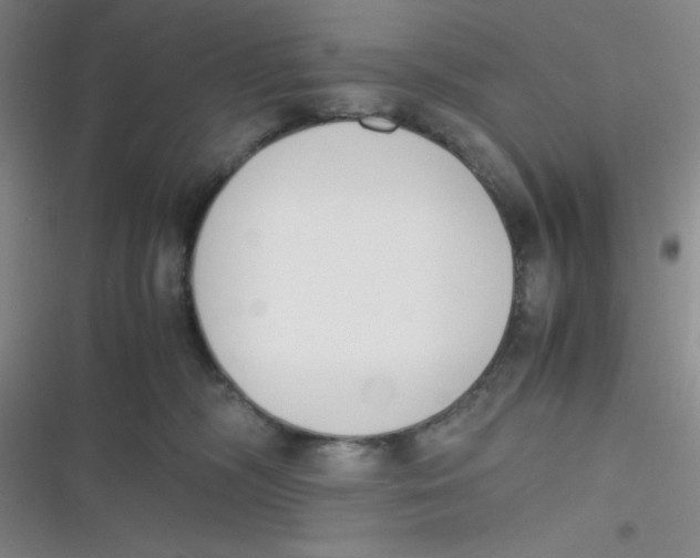 X0000116820326201001081422