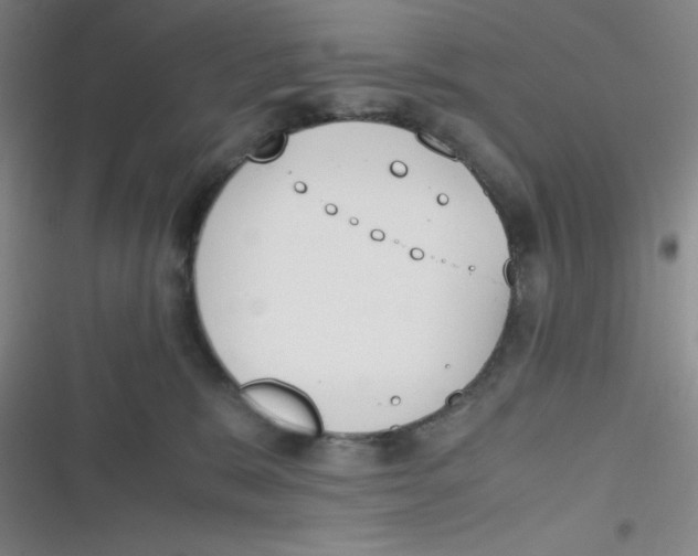 X0000116820327201001081422