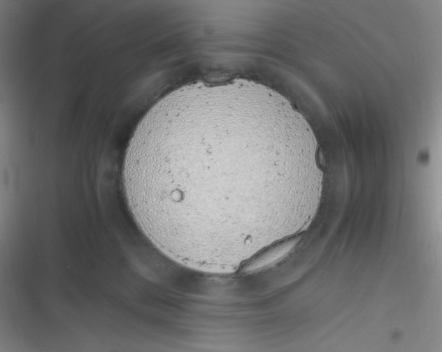 X0000116820328201001081422