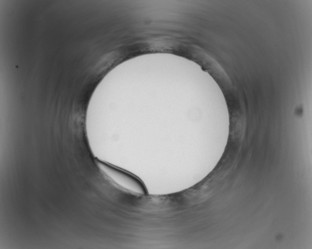 X0000116820329201001081422