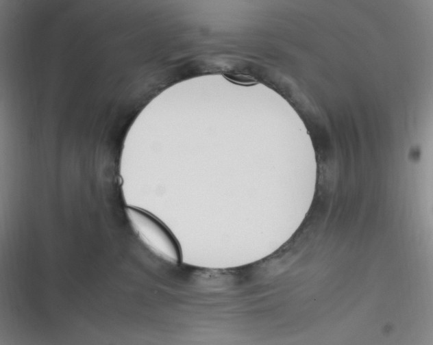 X0000116820331201001081422