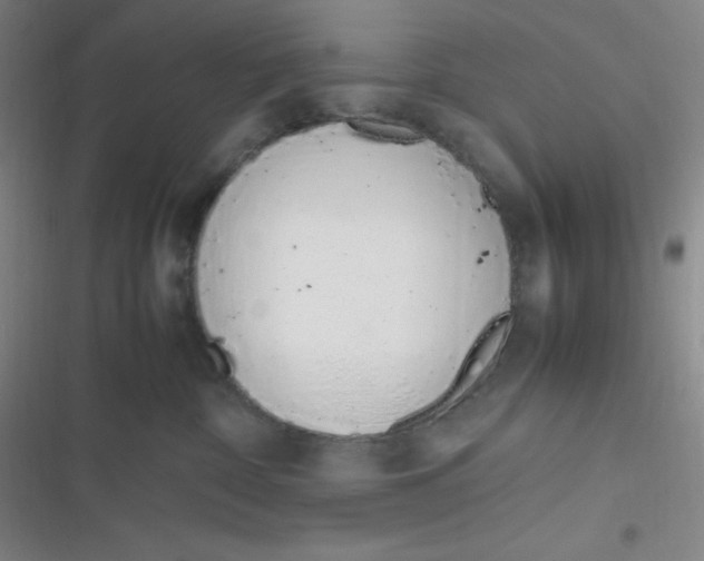 X0000116820332201001081422