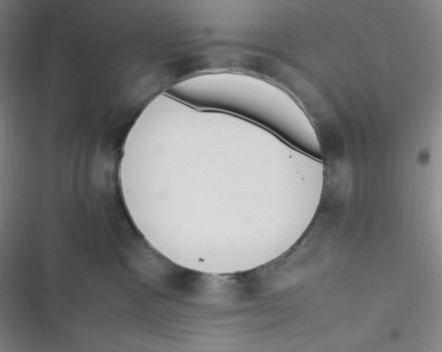 X0000116820333201001081422