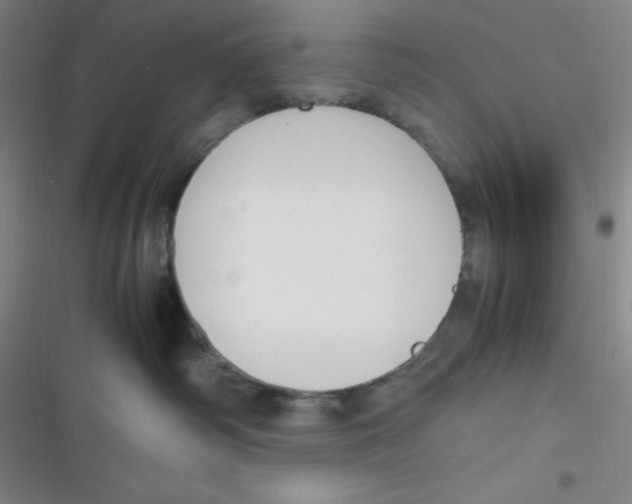 X0000116820334201001081422