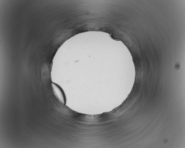 X0000116820335201001081422