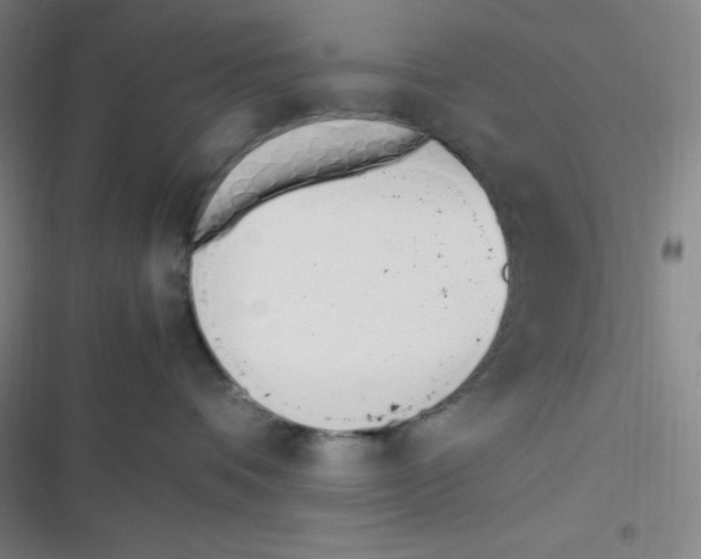 X0000116820336201001081422