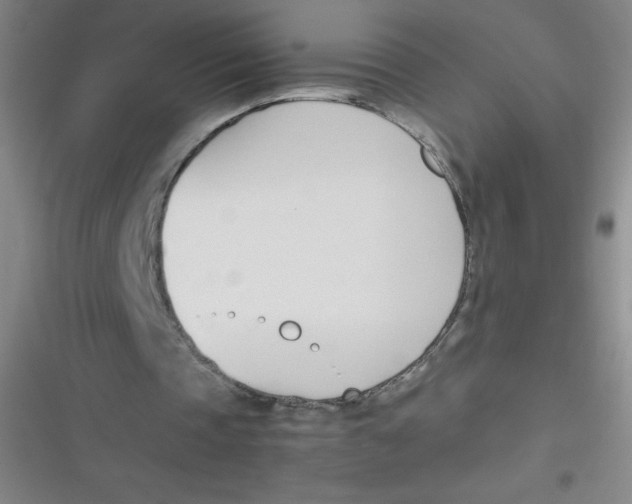 X0000116820337201001081421