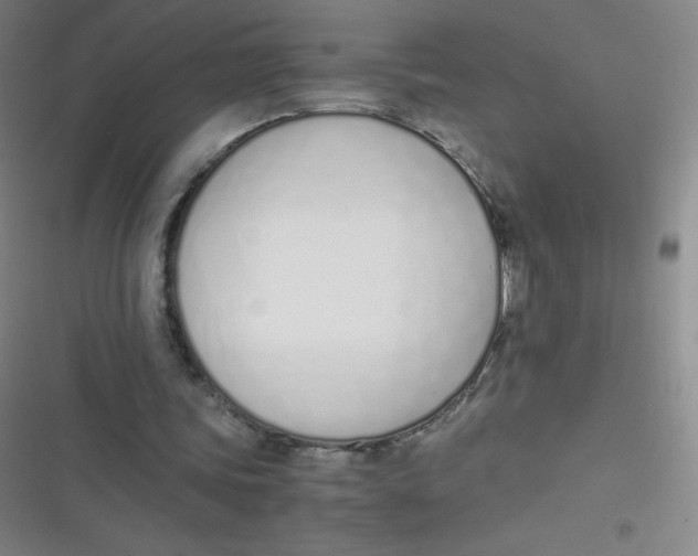 X0000116820339201001081421