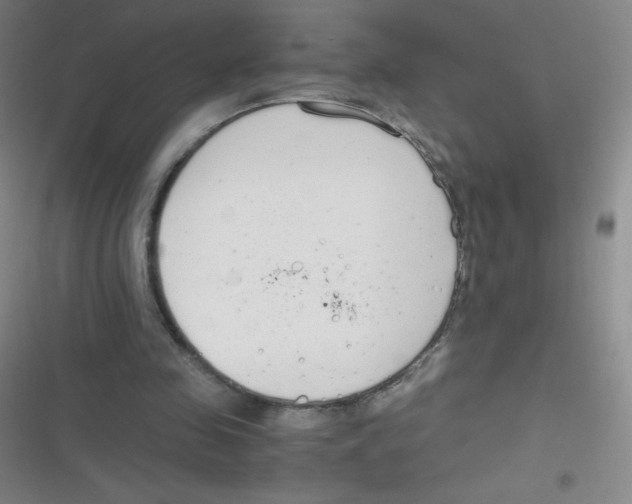 X0000116820341201001081421