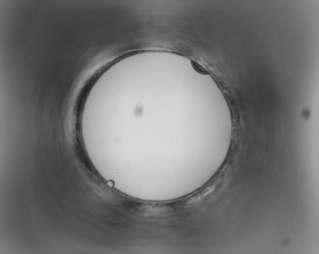 X0000116820343201001081421