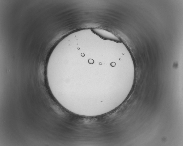 X0000116820345201001081421