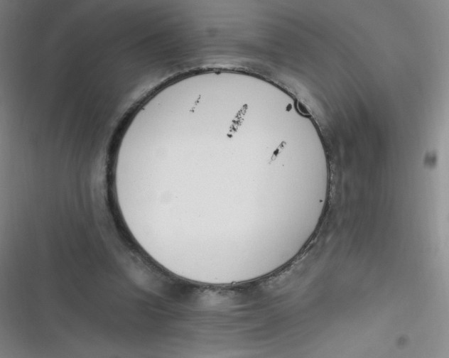 X0000116820346201001081421