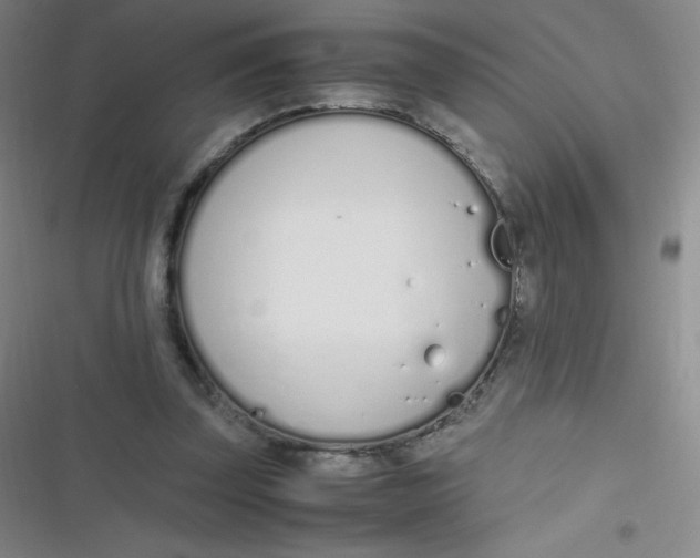 X0000116820347201001081421