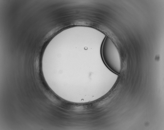 X0000116820349201001081421