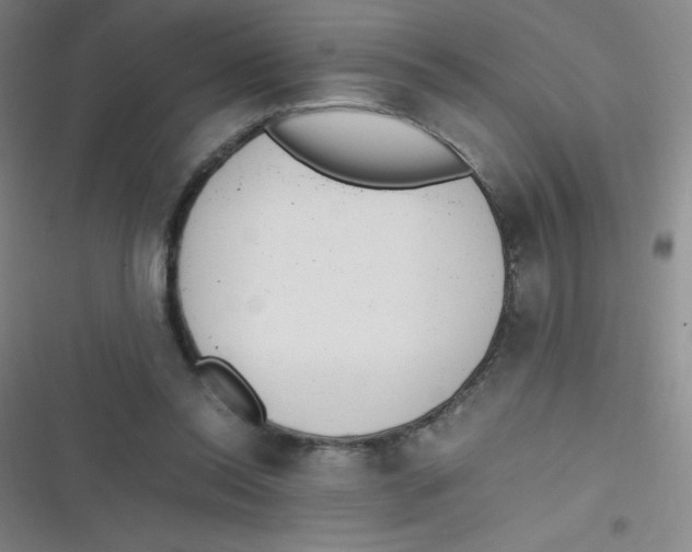 X0000116820350201001081421