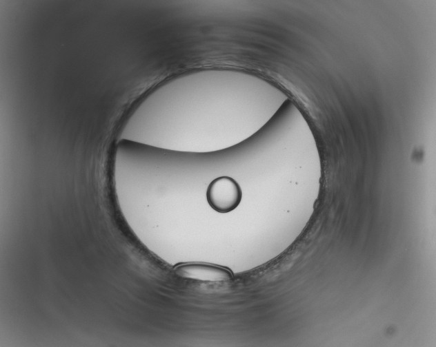 X0000116820353201001081421