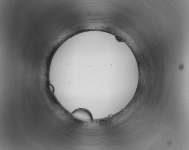 X0000116820354201001081421