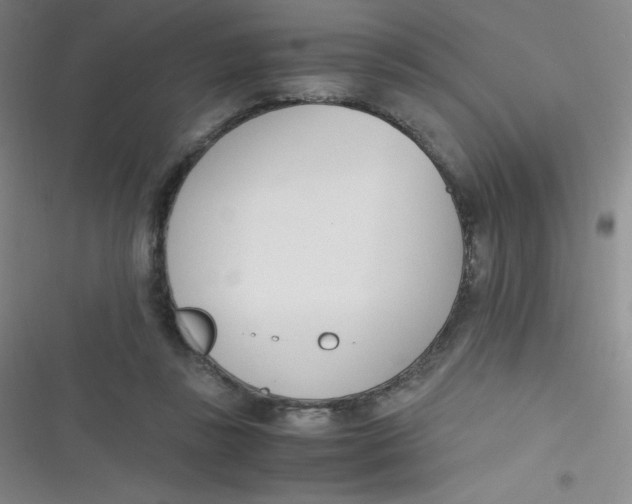 X0000116820355201001081421