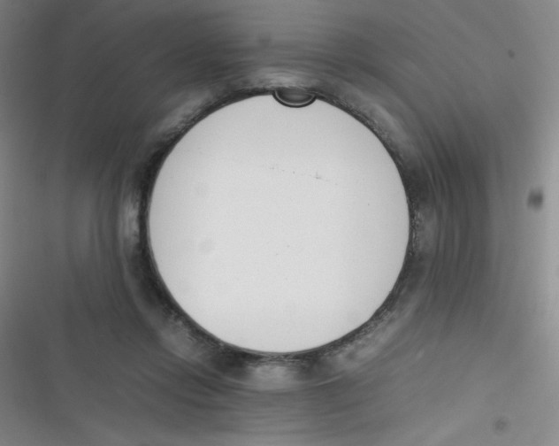 X0000116820358201001081421