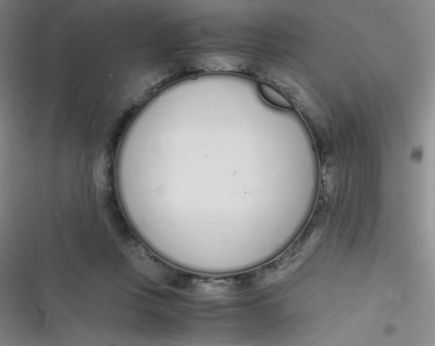 X0000116820359201001081421