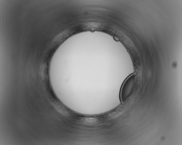 X0000116820361201001081421