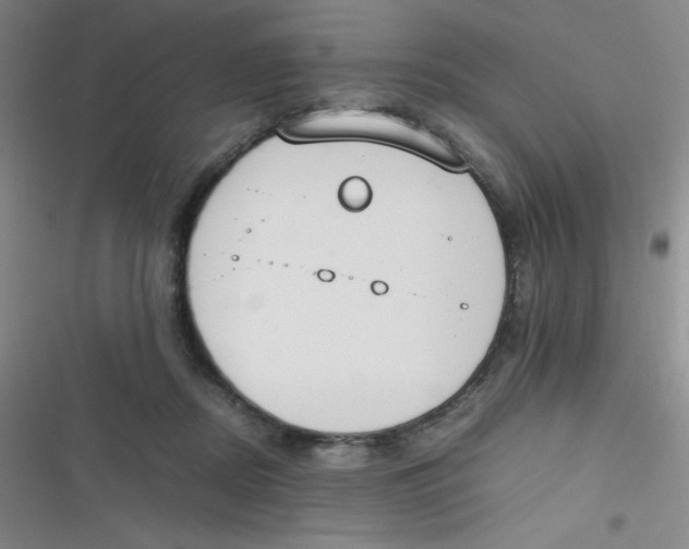 X0000116820362201001081421